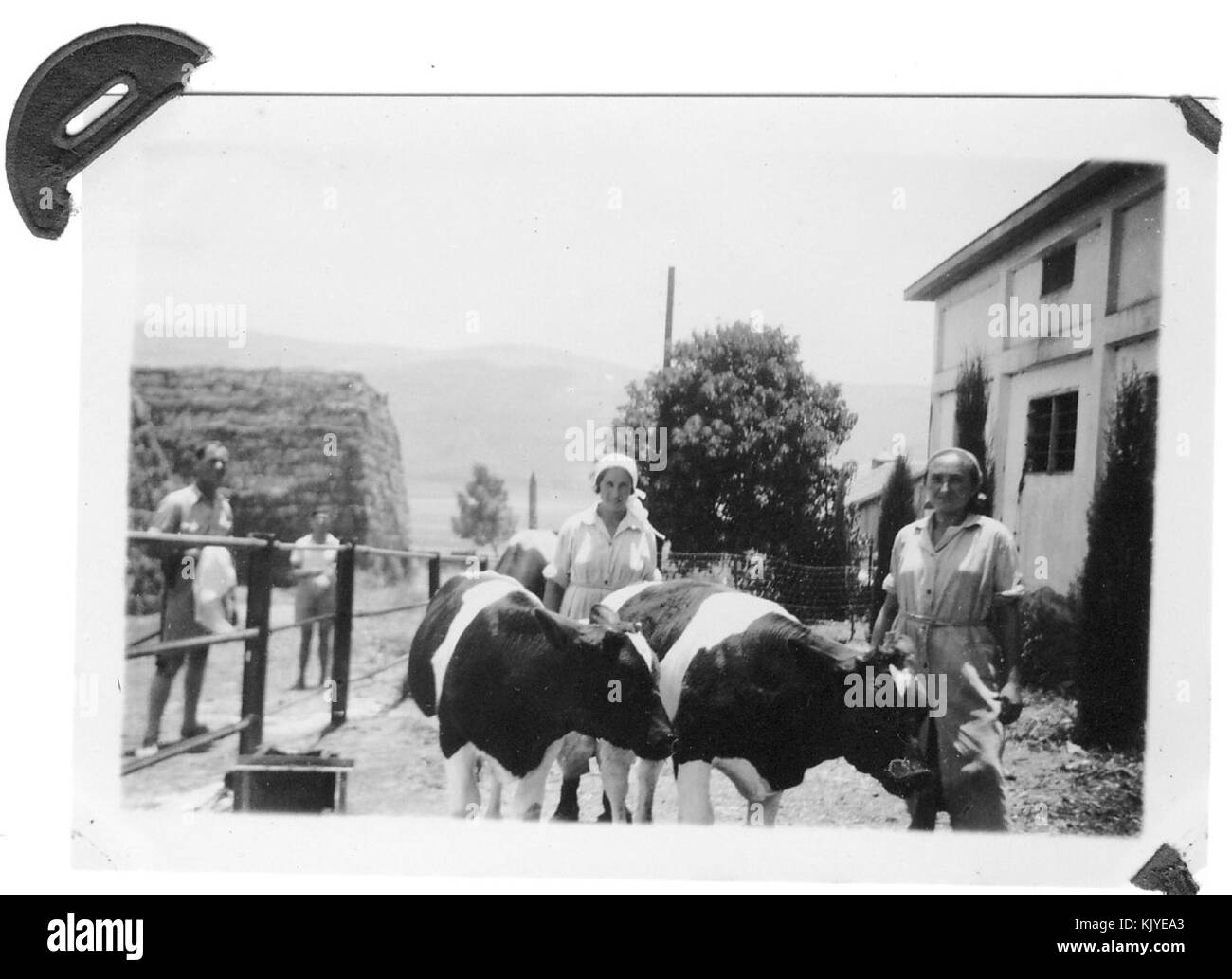 Israël 5962 Ein Harod dairy Banque D'Images