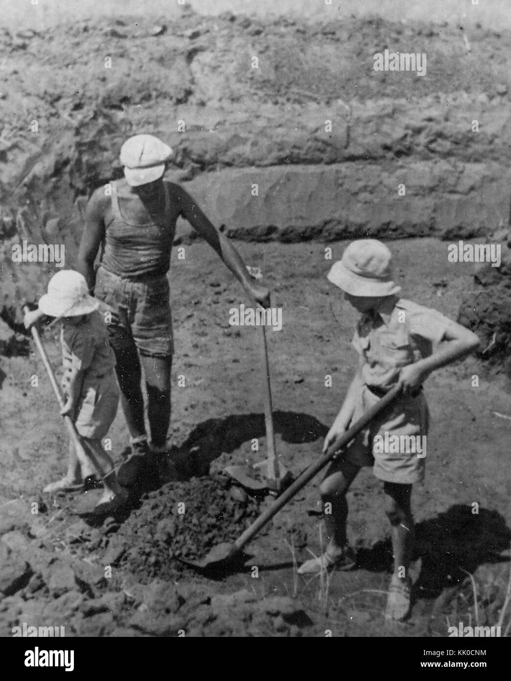 Jardinage 47317 Israël Banque D'Images