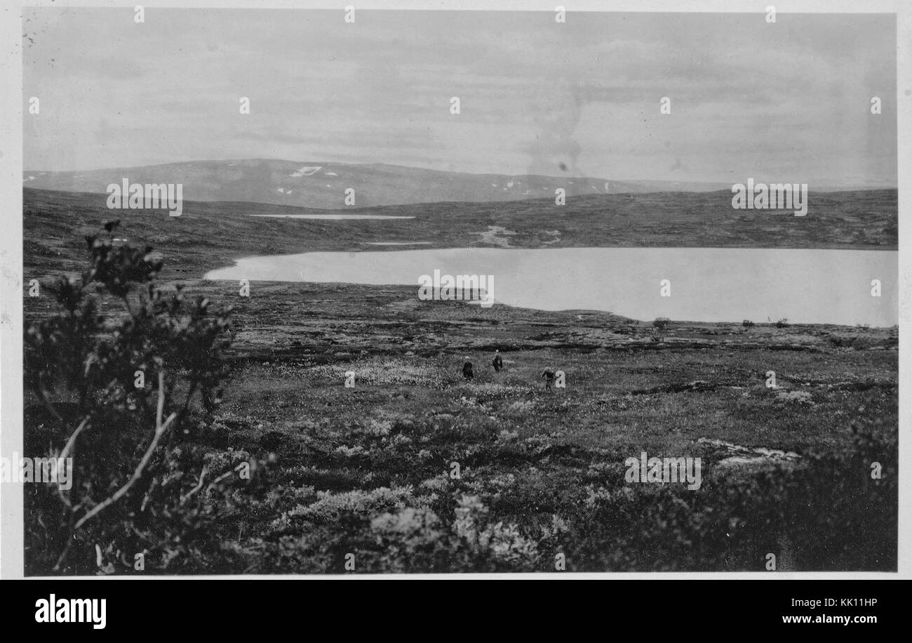 Utsikt mot Kviknes vestfjell S 1546 Ua7 192716 Banque D'Images