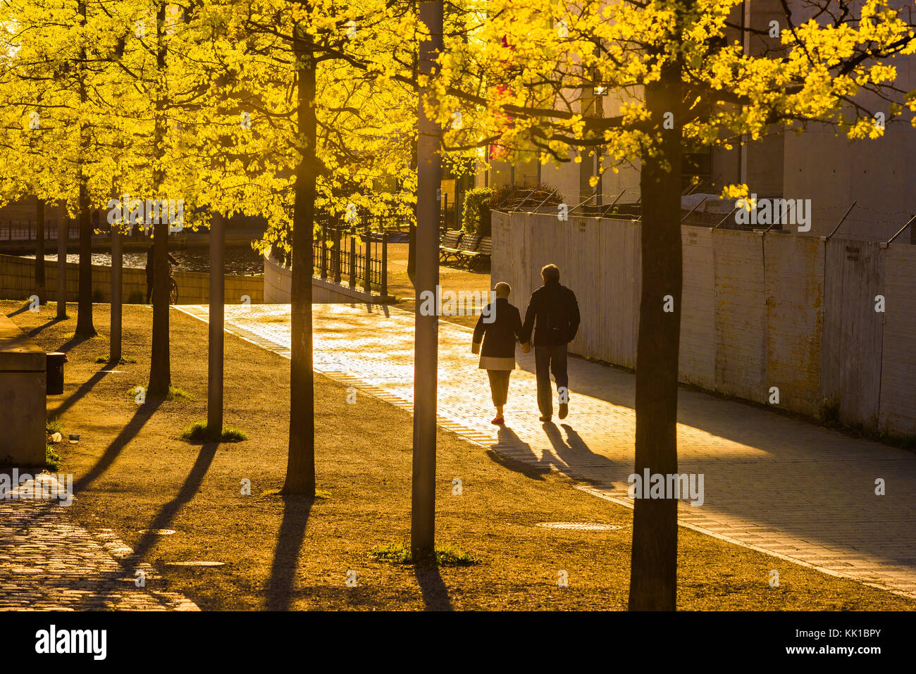 Couple marchant à l'automne, vue arrière d'un couple mature marchant dans le quartier Mitte de Berlin à la fin de l'après-midi d'automne, en Allemagne. Banque D'Images