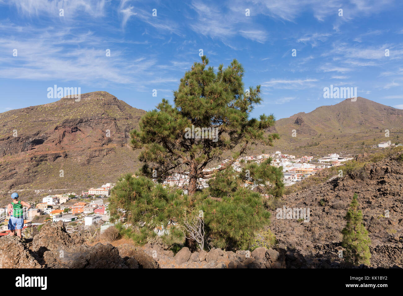 Vue aérienne sur le village de montagne de pins des Canaries Tamaimo avec au premier plan, Santiago del Teide, Tenerife, Canaries, Espagne Banque D'Images