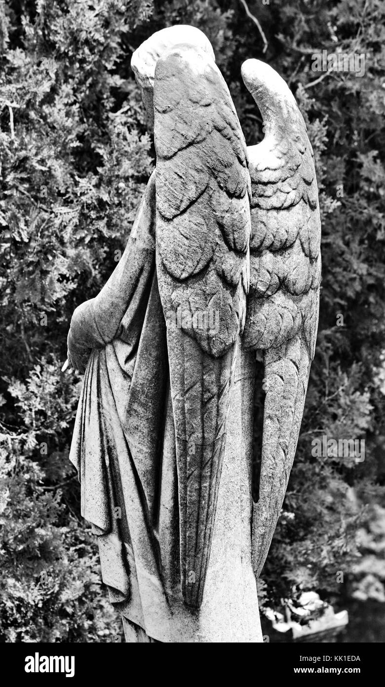 Magnifiquement sculpté un ange femelle monte la garde à la tombe de l'un fidèle. Banque D'Images Magnifiquement sculpté un ange femelle monte la garde à la tombe de l'un fidèle. Banque D'Images