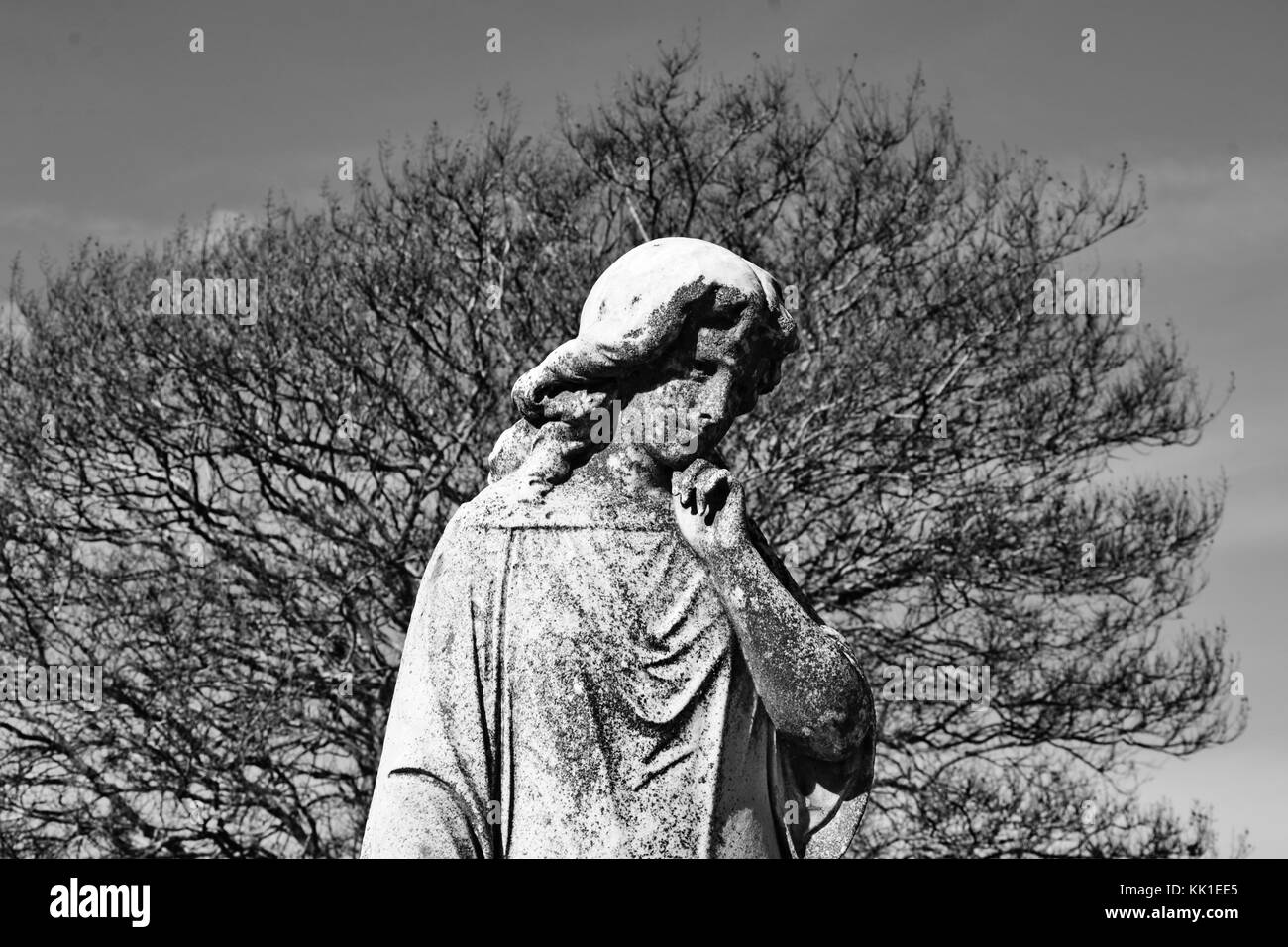La contemplation tranquille dans le jardin de Dieu. Banque D'Images La contemplation tranquille dans le jardin de Dieu. Banque D'Images
