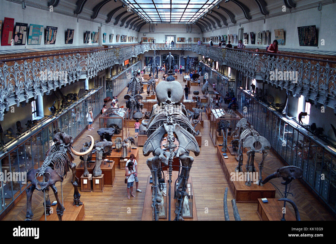 PARIS MUSEUM NATIONAL D'HISTOIRE NATURELLE - GALERIE DE PALEONTOLOGIE ET LISAA - PARIS JARDIN DES PLANTES - ARGENT FILM © Fédéric BEAUMONT Banque D'Images