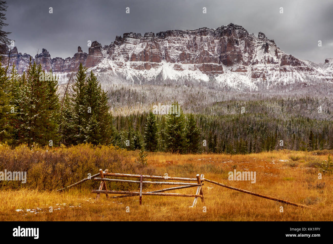 Montagnes en forêt nationale de Shoshone Wyoming Banque D'Images