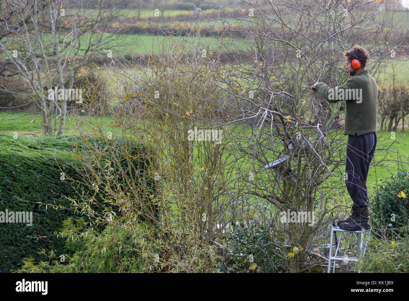 La taille au début de l'hiver Banque D'Images