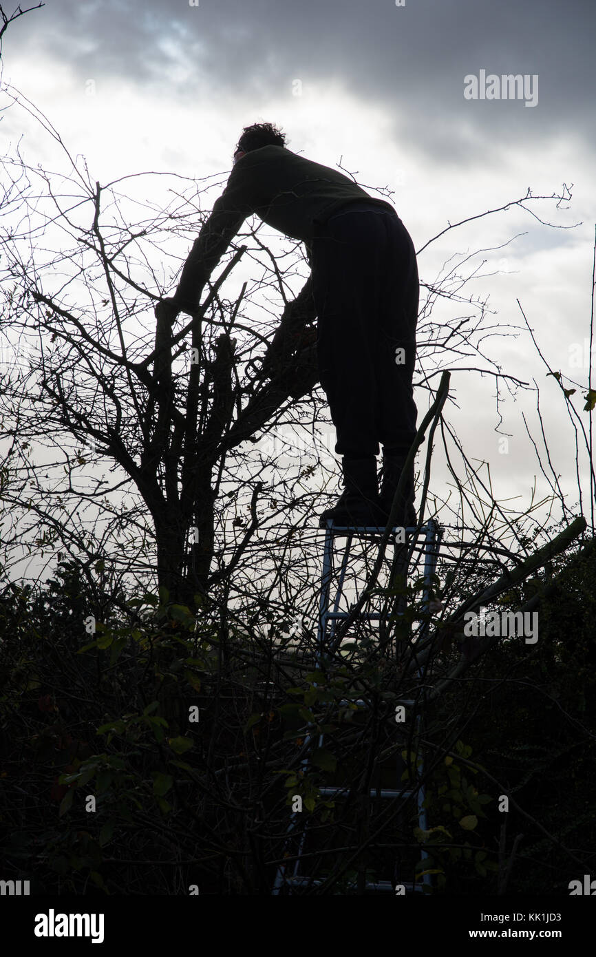 La taille au début de l'hiver Banque D'Images