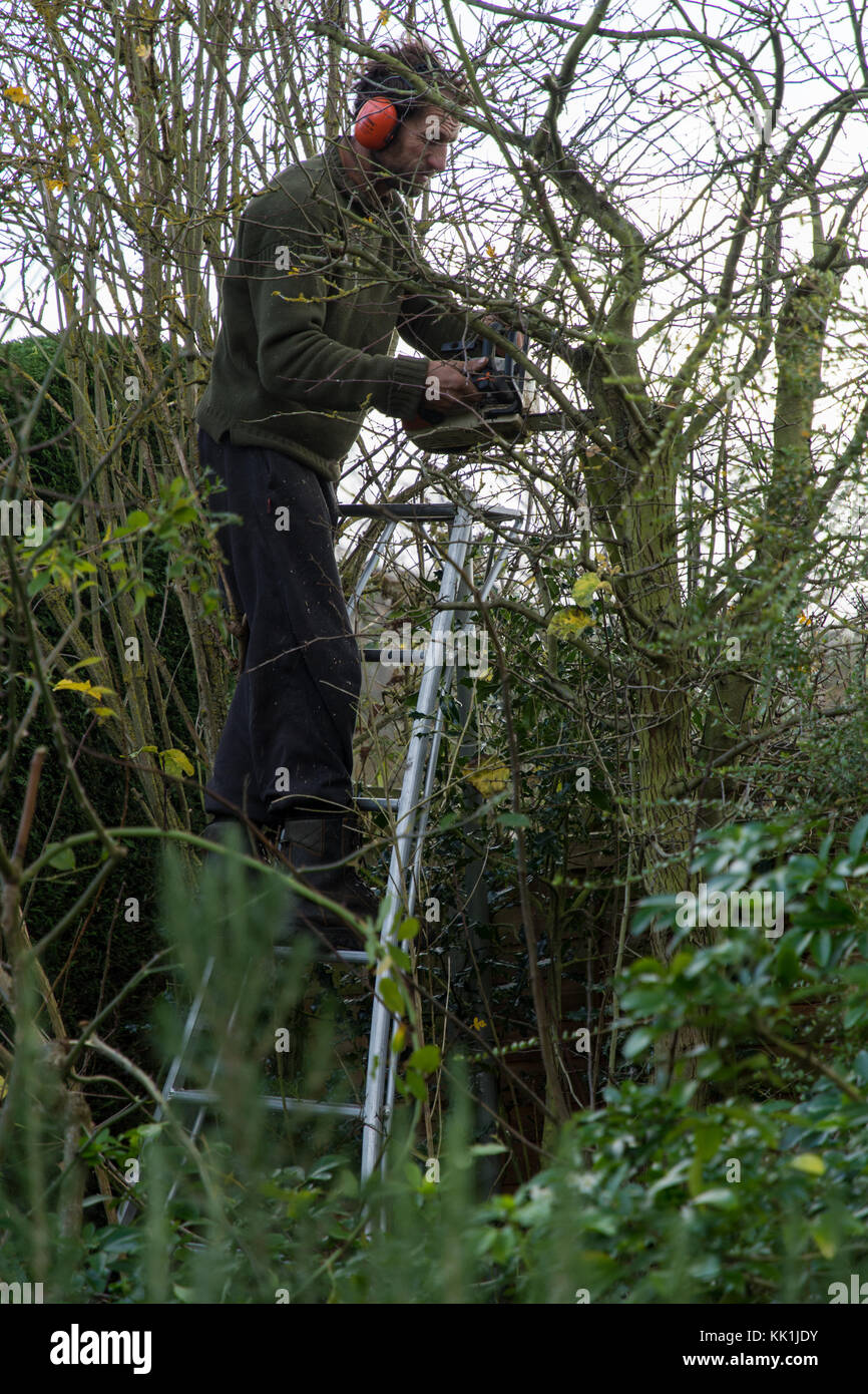 La taille au début de l'hiver Banque D'Images