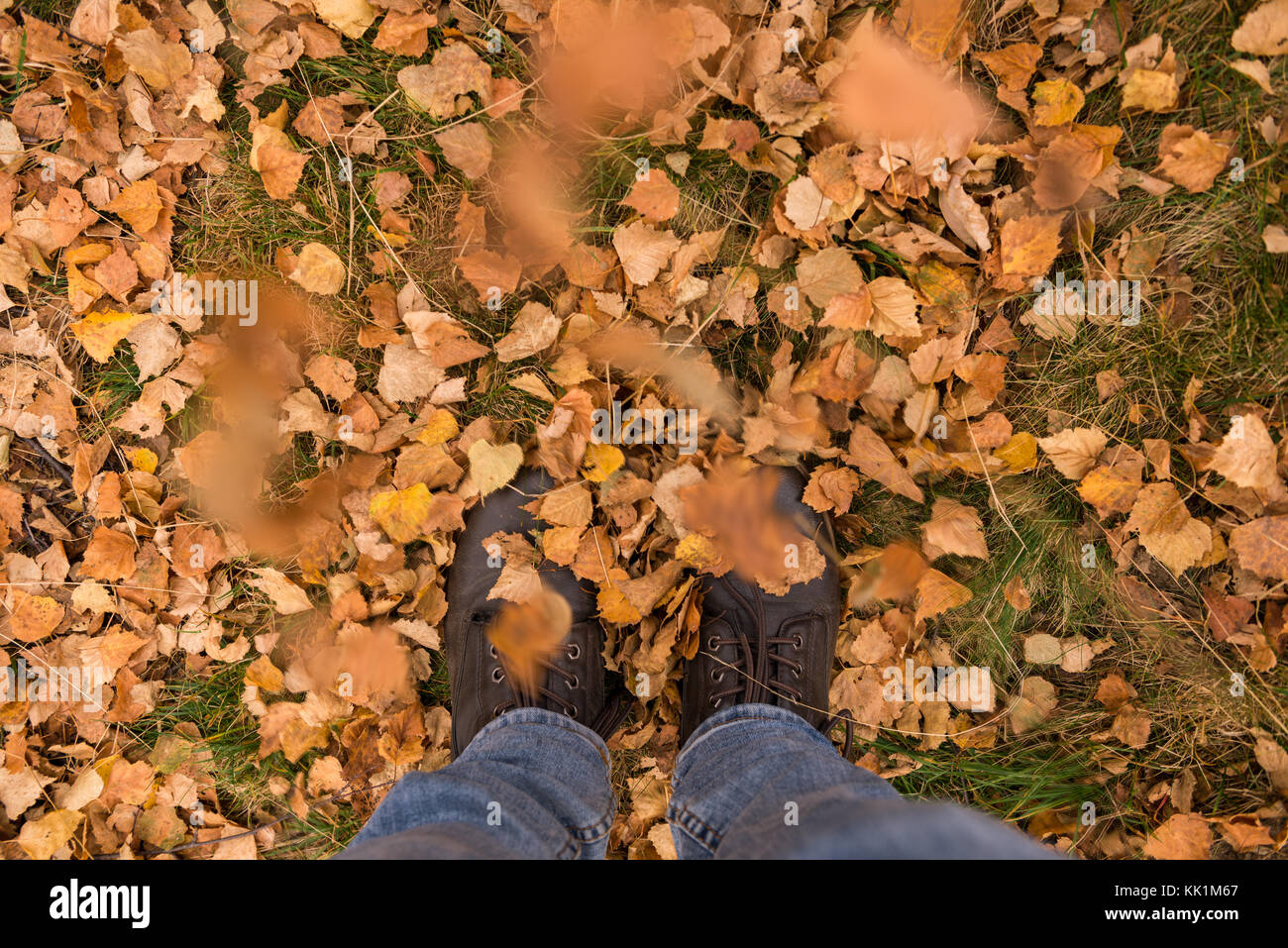 Young adult man wearing jeans pieds sur les bouleaux feuilles à l'automne forest Banque D'Images