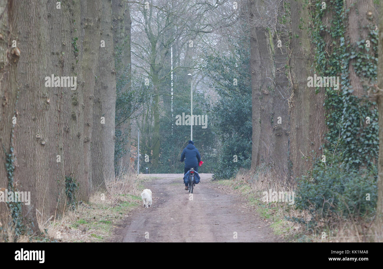 Vieil homme méconnaissable le vélo, son chien est à la suite Banque D'Images