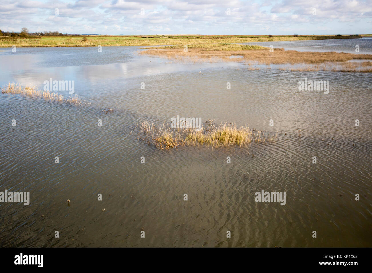 L'habitat de marais salants inondés à marée haute, près de la rue du bardeau, Suffolk, Angleterre, RU Banque D'Images