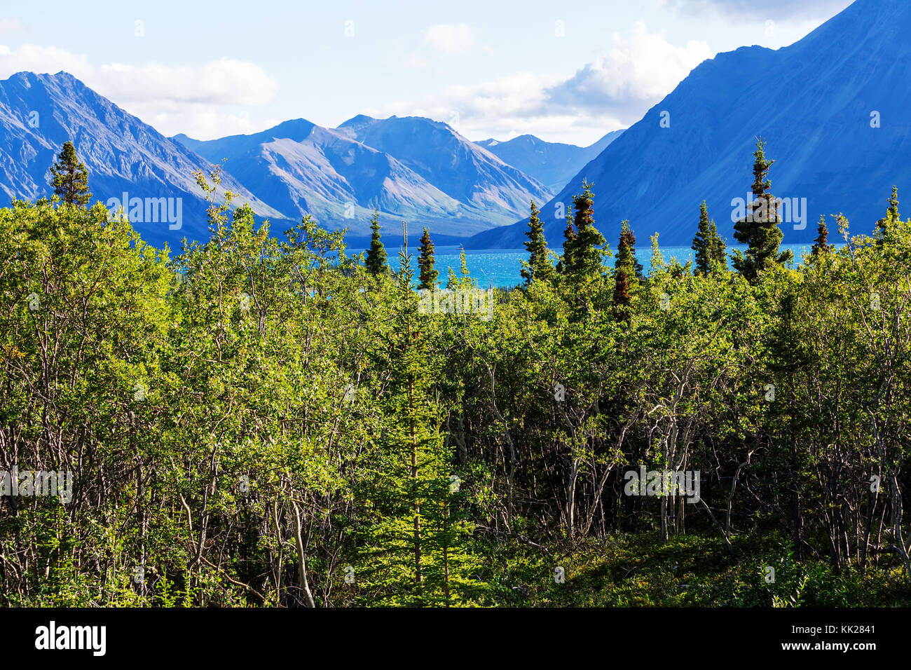 Montagnes de l'Alaska à l'été Banque D'Images