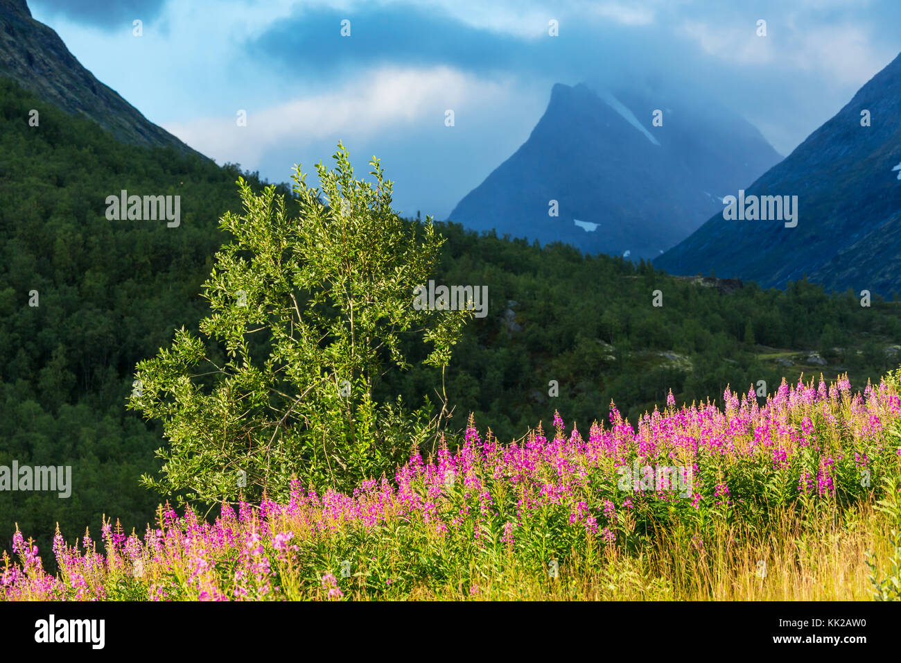 Montagne en Norvège, le parc national de Jotunheimen Banque D'Images