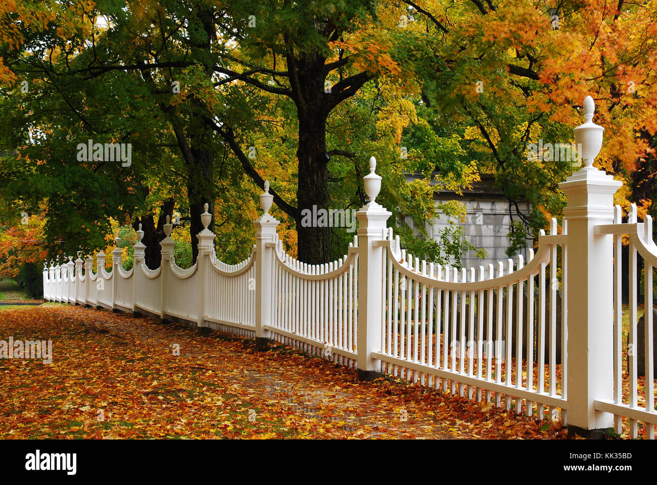 Couleurs d'automne d'un cadre d'arbres d'érable une clôture blanche dans le Vermont Banque D'Images