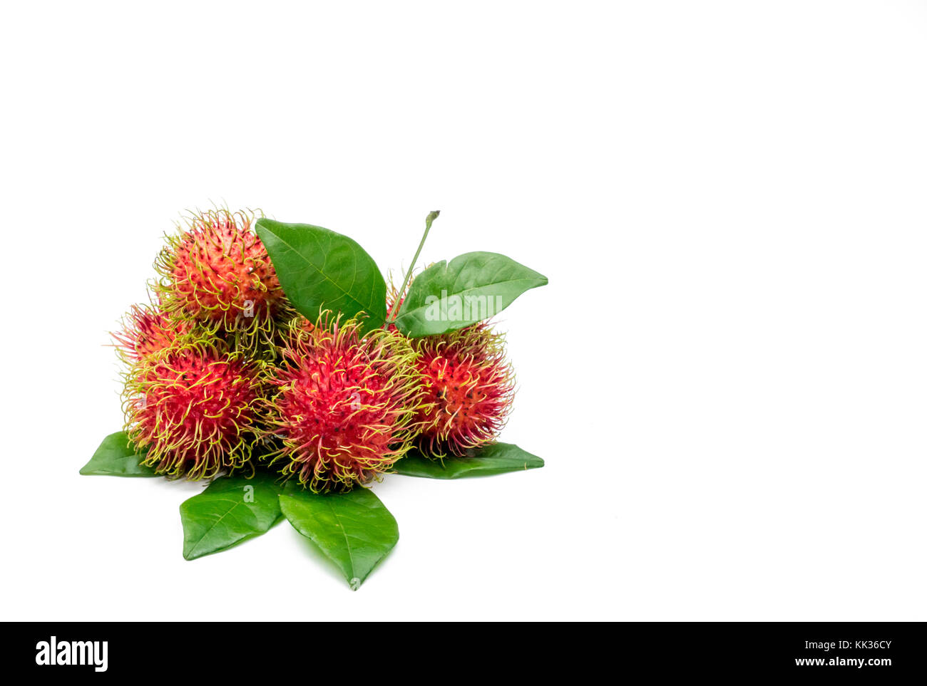 Fresh rouge mûre ramboutan (Nephelium lappaceum) avec des feuilles isolées sur fond blanc. Thai dessert fruits doux. Banque D'Images