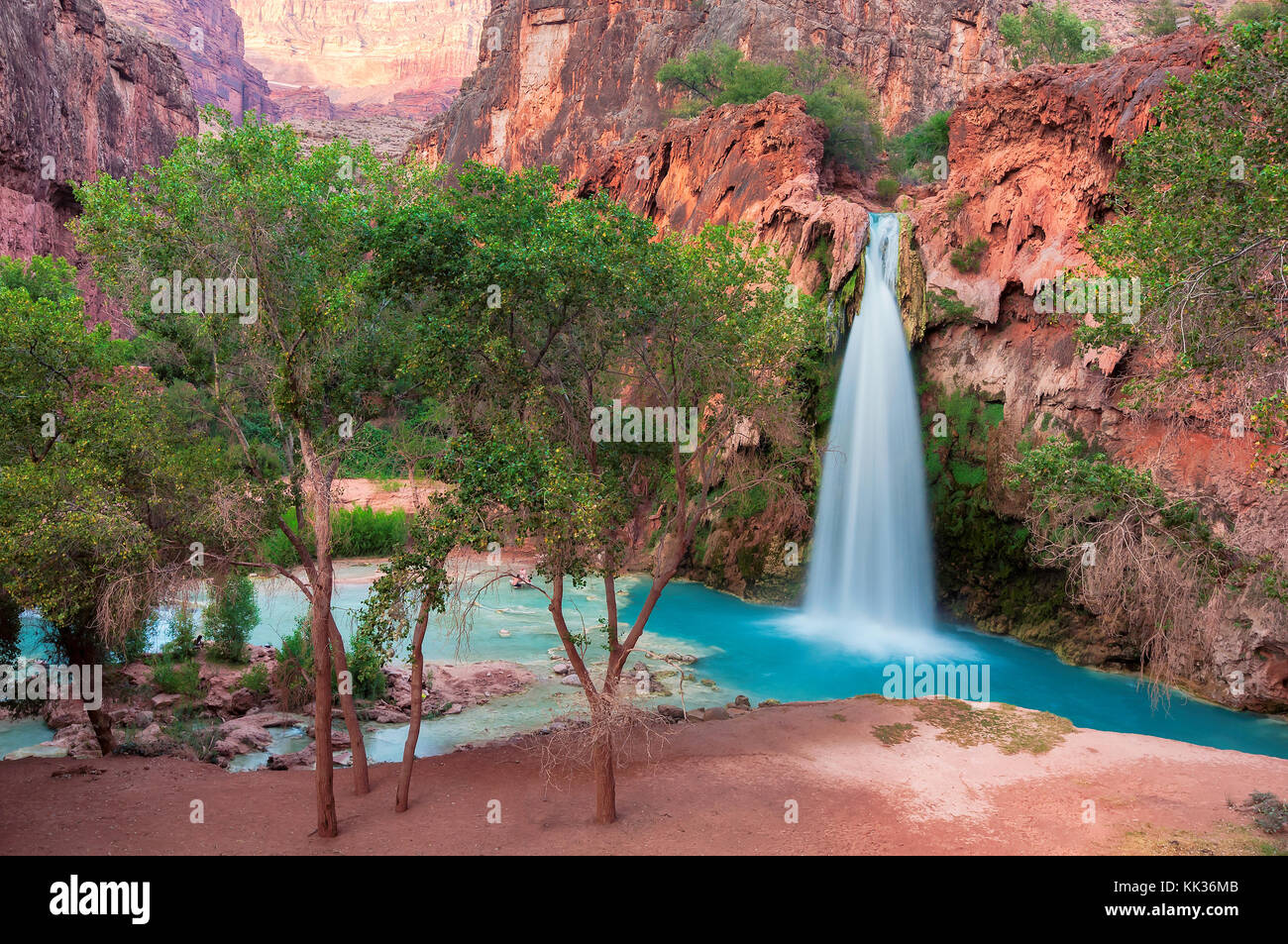 Belle havasu falls, chutes d'eau dans le grand canyon, arizona Banque D'Images