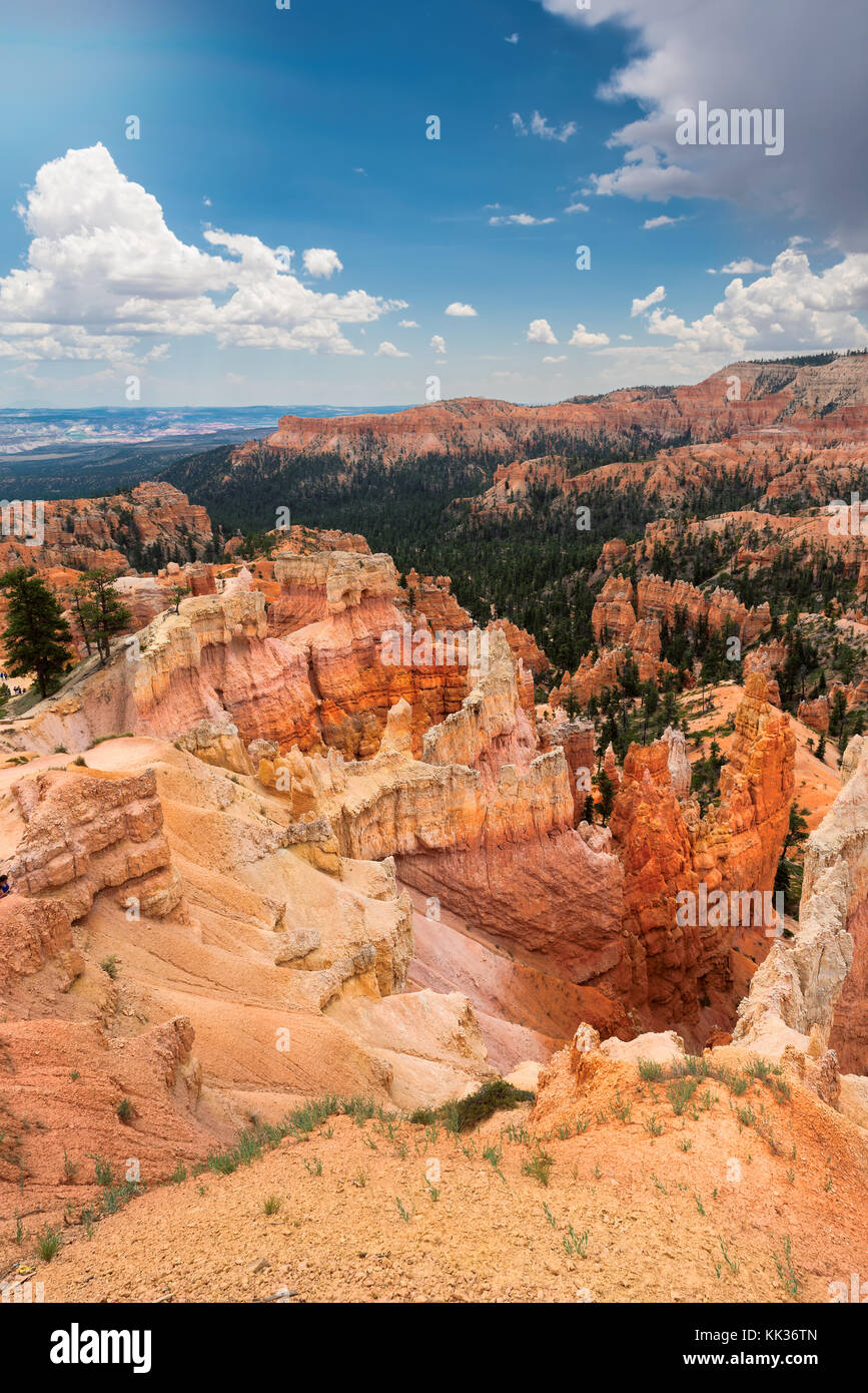 Le parc national de Bryce Canyon Banque D'Images