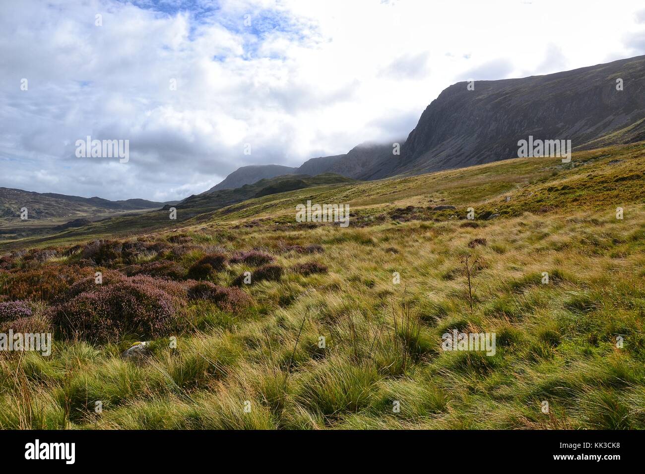 Vue depuis le chemin d'poney de montagne Cadair Idris, Pays de Galles, Royaume-Uni Banque D'Images
