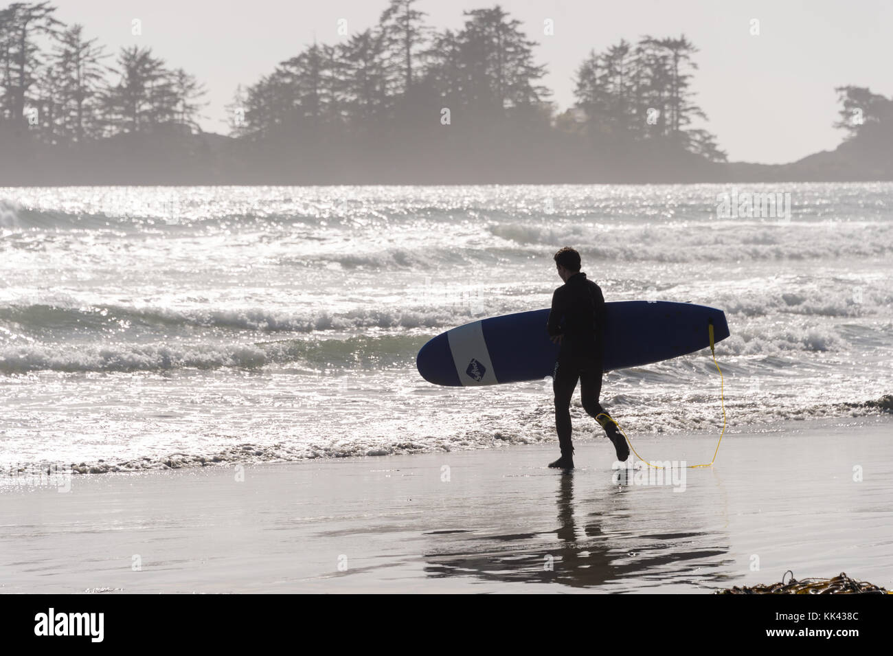 Plage de Chesterman près de Tofino, C.-B., Canada (septembre 2017) - Homme tenant une planche à surf. Banque D'Images