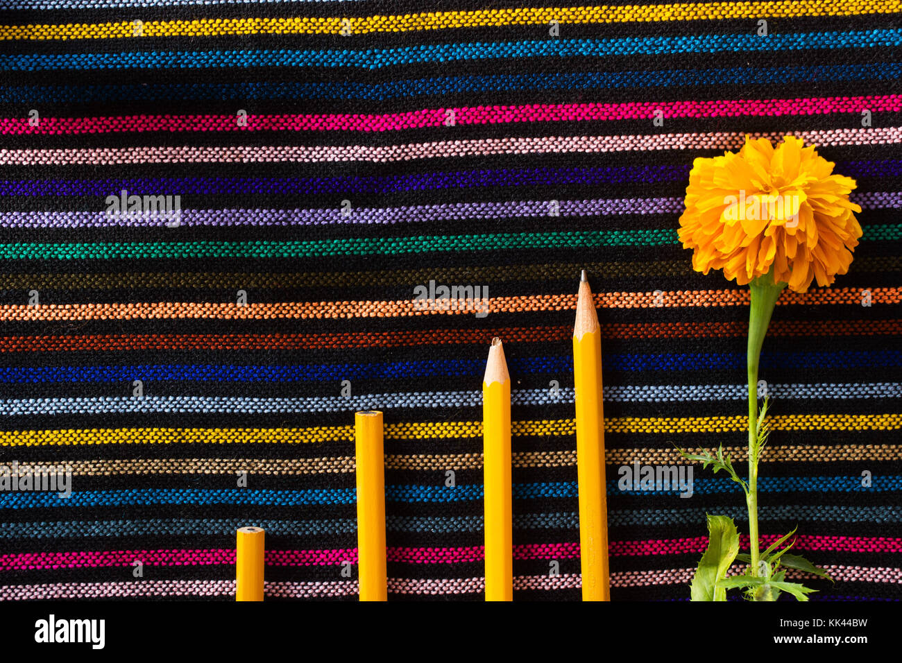 Orange bois crayons avec différents conseils et une fleur jaune sur un tissu coloré Banque D'Images