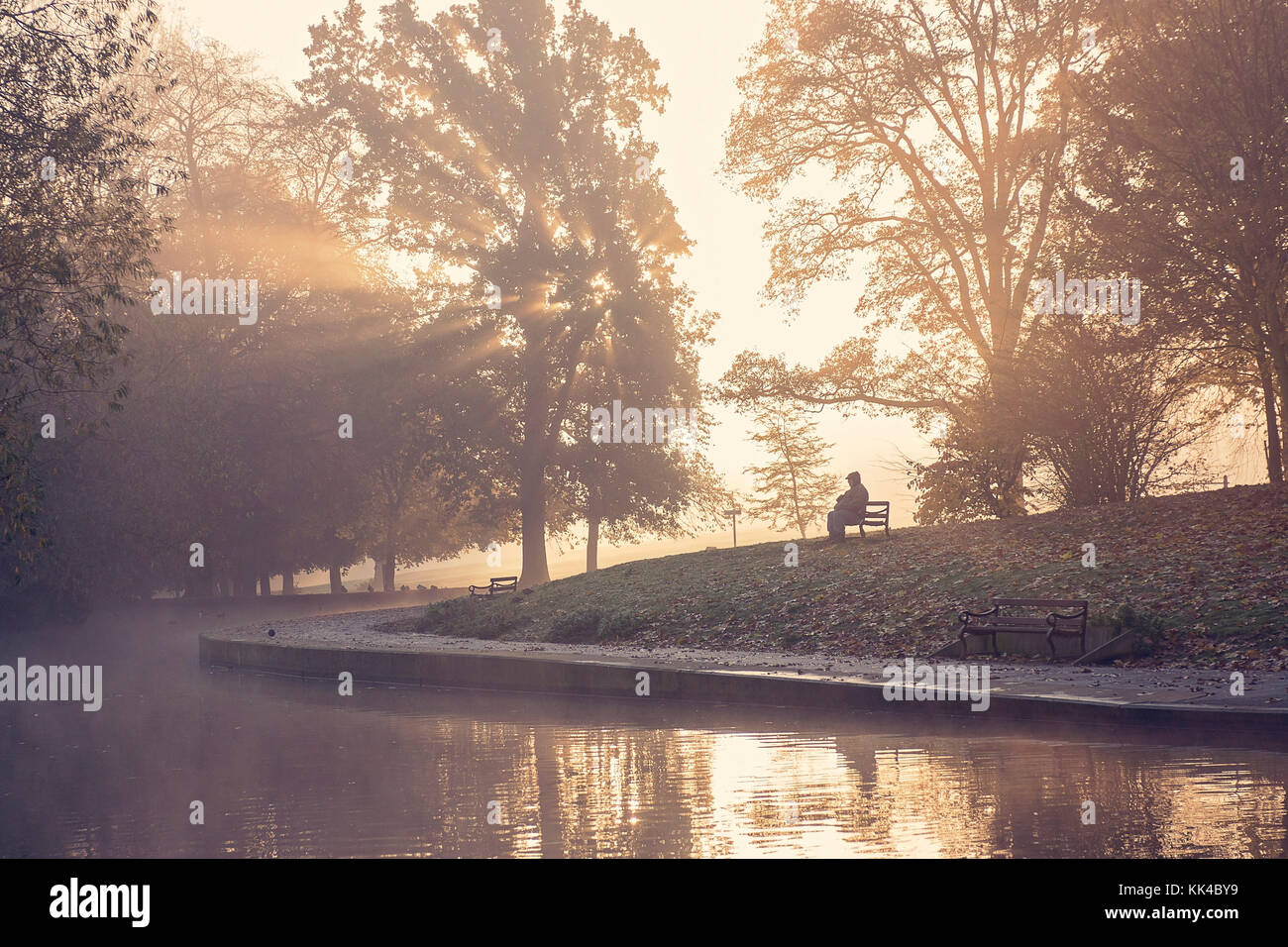 À l'aube dans le parc avec un homme solitaire sur un banc près d'un lac et de rayons de soleil à travers les arbres à la vapeur Banque D'Images