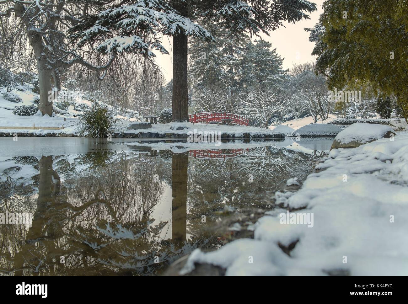 Jardins Albert Kahn - 20/01/2013 - - jardins Albert Kahn - jardins Albert Kahn de Boulogne Billancourt sous la neige de janvier - Sylvain Leser / le Pictorium Banque D'Images