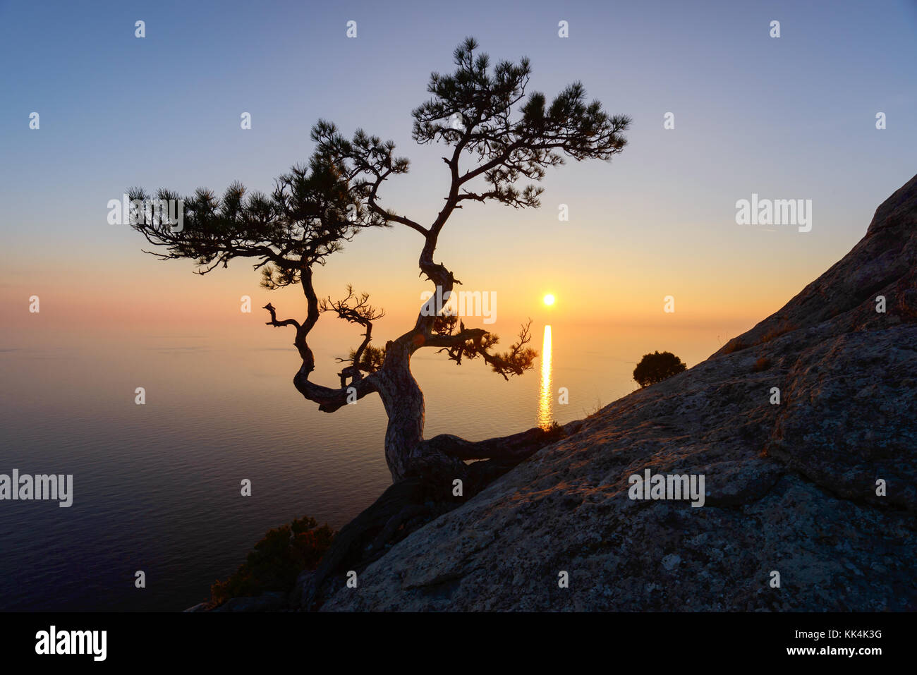 Seul arbre sur le bord de la falaise Banque D'Images