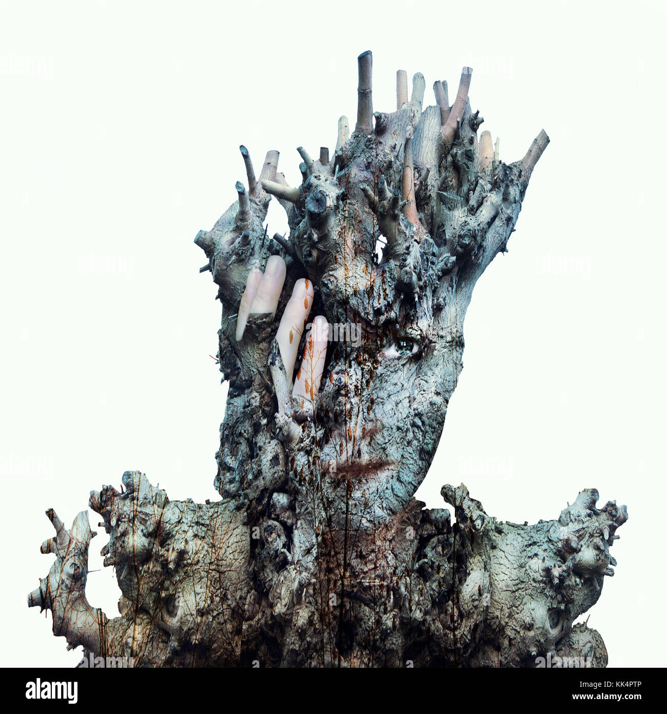 Image surréaliste d'un visage d'une jeune fille cachée par un tronc et l'écorce d'un arbre sur un fond blanc Banque D'Images
