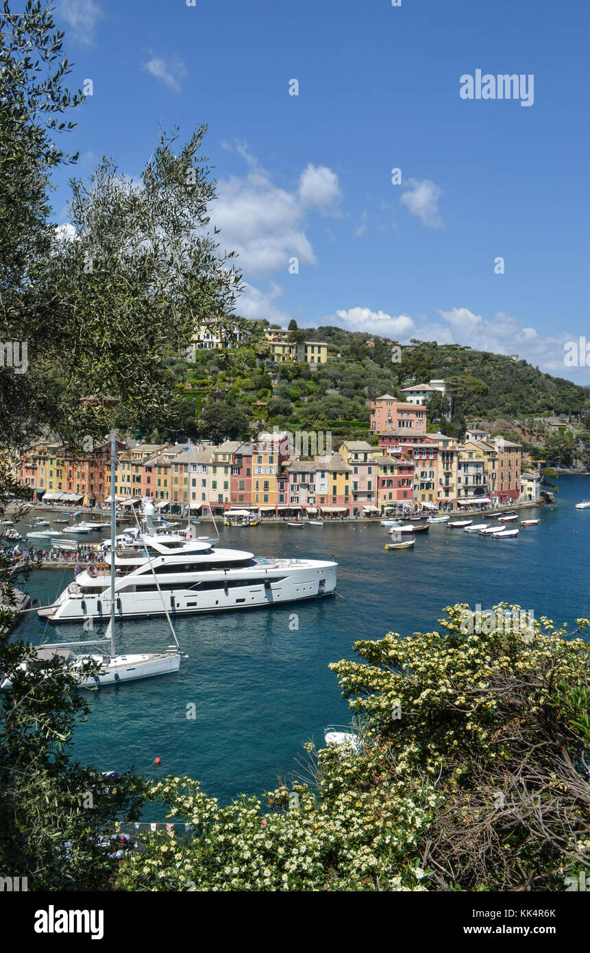 Italie, Ligurie : Portofino. Sommaire d'une colline d'un yacht et voiliers du port de plaisance du petit village aux maisons colorées à l'abri dans une anse Banque D'Images