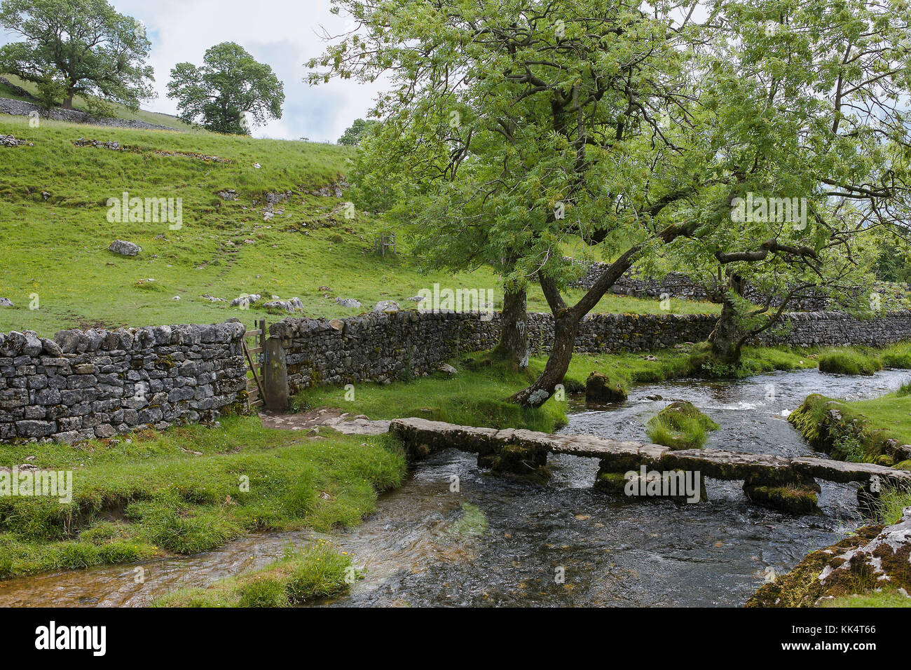 Pont de Clapper au-dessus de Malham Beck juste en dessous de Malham Cove, North Yorkshire, Angleterre, Royaume-Uni Banque D'Images