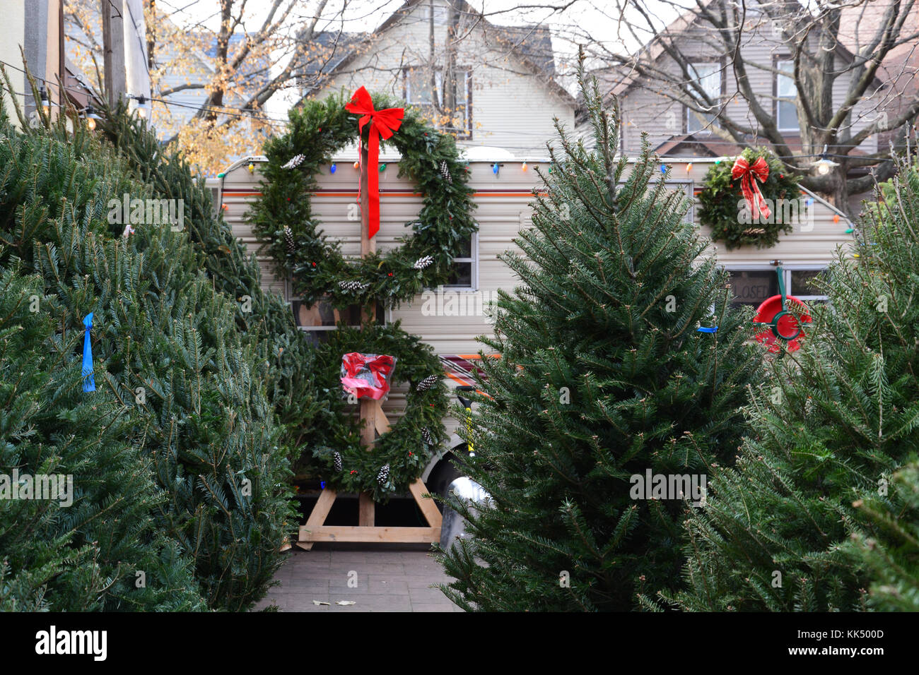 Lincoln Square's petit quartier beaucoup d'arbres de Noël a fourni aux résidents sur le côté nord de Chicago avec de vrais arbres pendant de nombreuses années. Banque D'Images