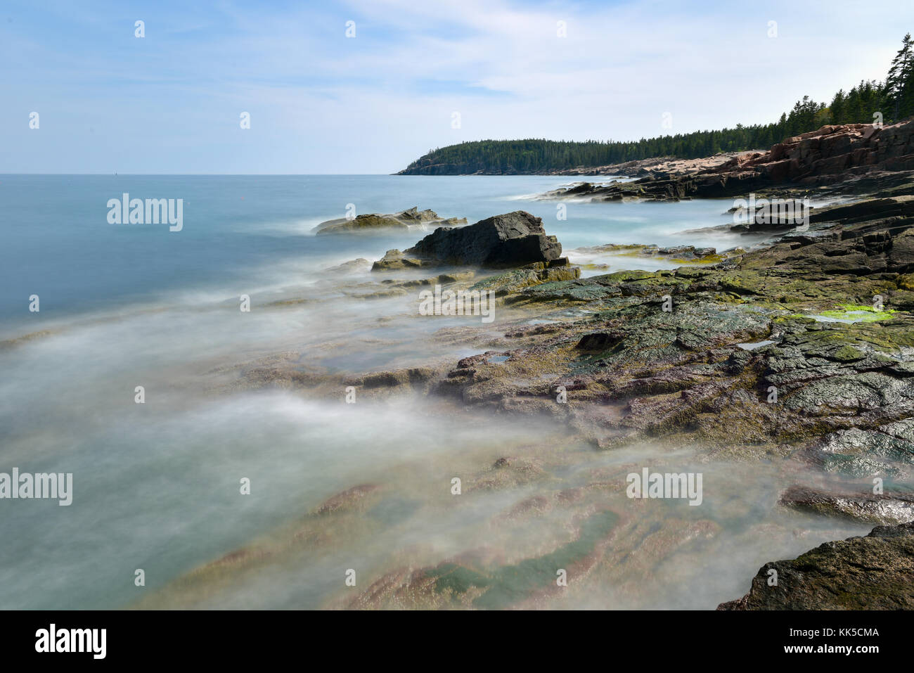 La côte rocheuse dans l'Acadia national park, Maine, près de Thunder hole dans l'été. Banque D'Images