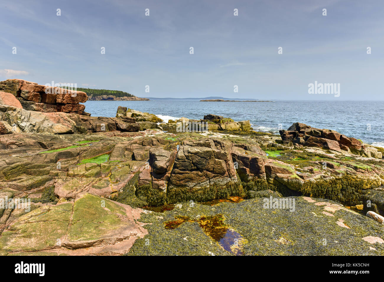 La côte rocheuse dans l'Acadia national park, Maine, près de Thunder hole dans l'été. Banque D'Images