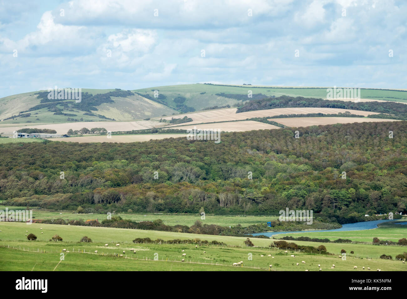 Friston forest et de l'avant vers le bas de l'autre côté de la vallée cuckmere dans le Sussex. Banque D'Images