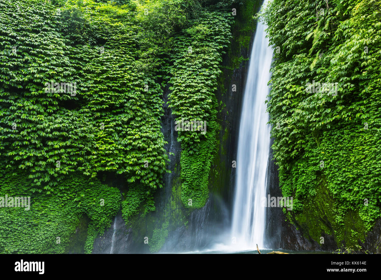 Cascade en indonésien jongle Banque D'Images