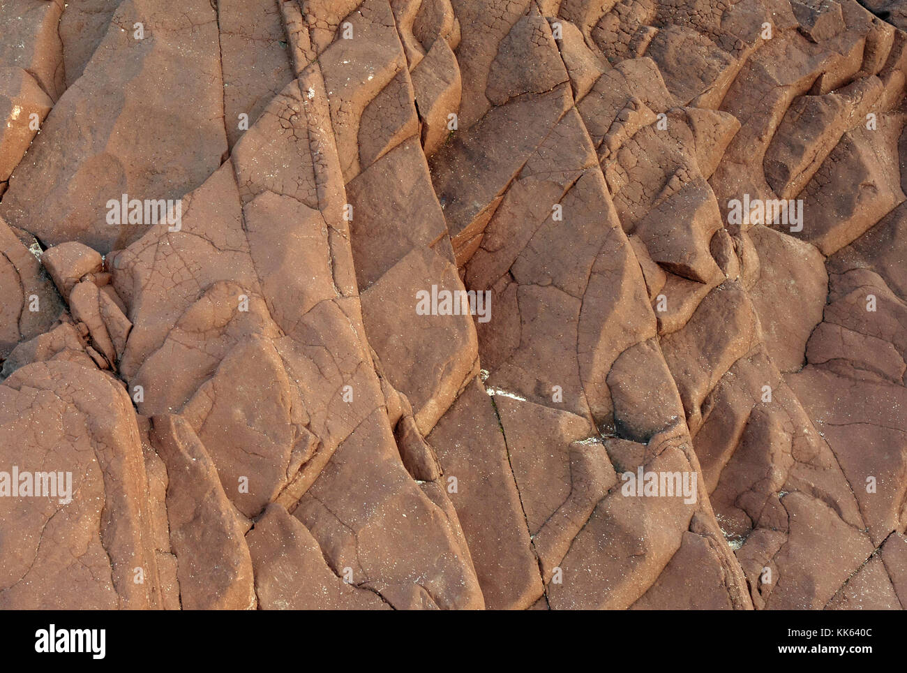 Détail de rochers de grès rose sur Calchtoll beach, Ecosse Banque D'Images