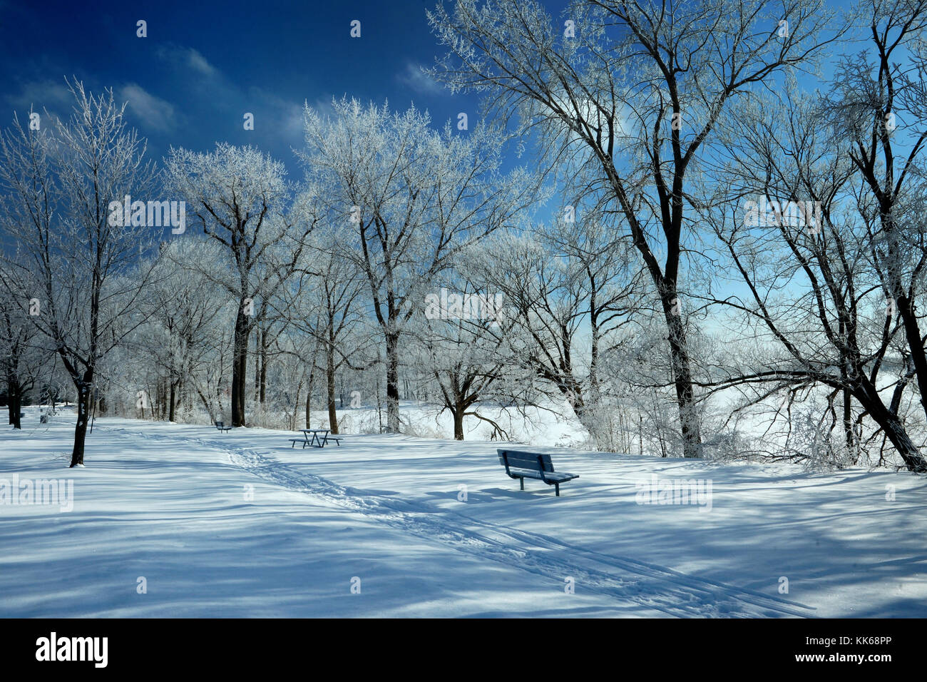 Montréal,Canada,14,Janvier 2015.parc public par le fleuve en hiver.Credit:Mario Beauregard/Alamy Live News Banque D'Images