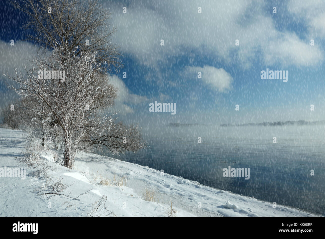 Montréal,Canada,14,Janvier 2015.parc public par le fleuve en hiver.Credit:Mario Beauregard/Alamy Live News Banque D'Images