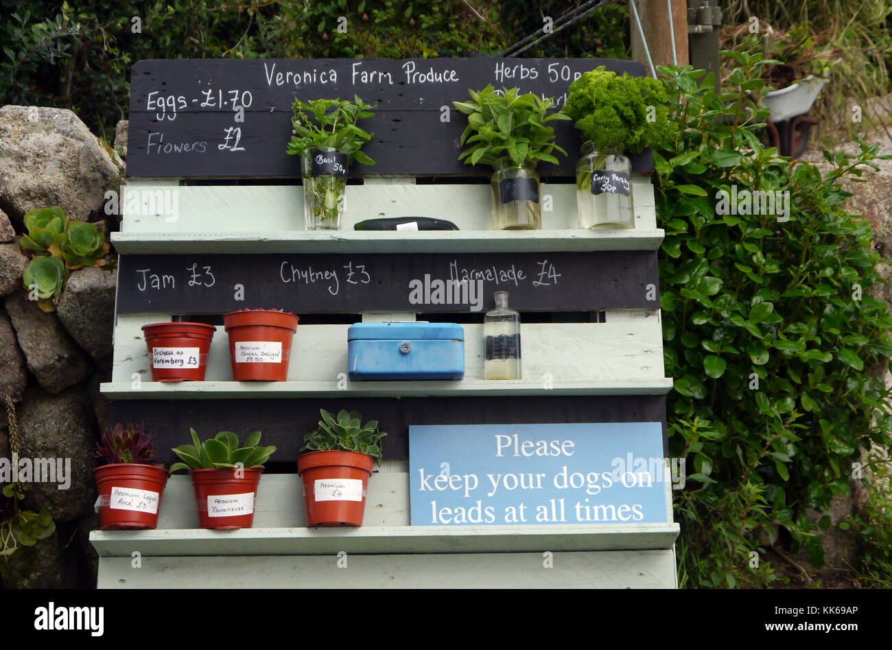 L'honnêteté Fort & Affichage de produire à l'extérieur de la ferme sur l'île de Bryher Veronica dans les îles Scilly, Cornwall, Royaume-Uni, UK. Banque D'Images
