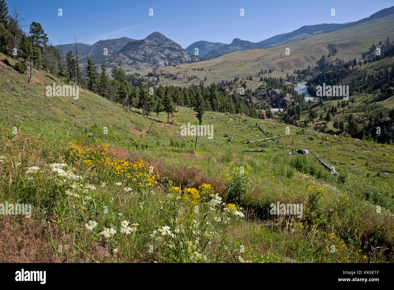 hellroaring creek trail