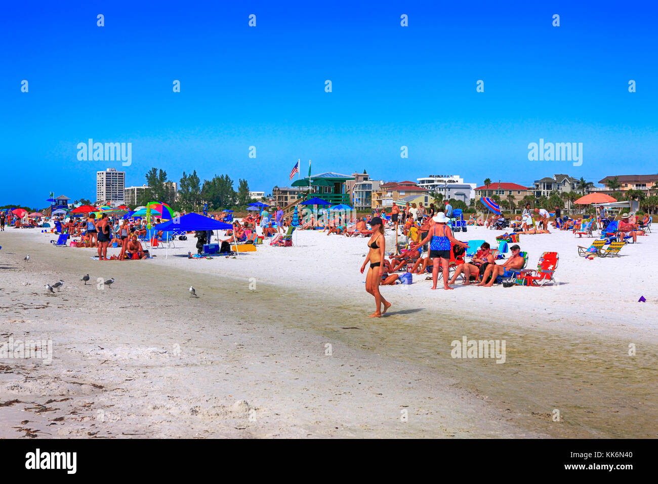 Les gens sur Siesta Beach sur Siesta Key Island en Floride États-Unis Banque D'Images