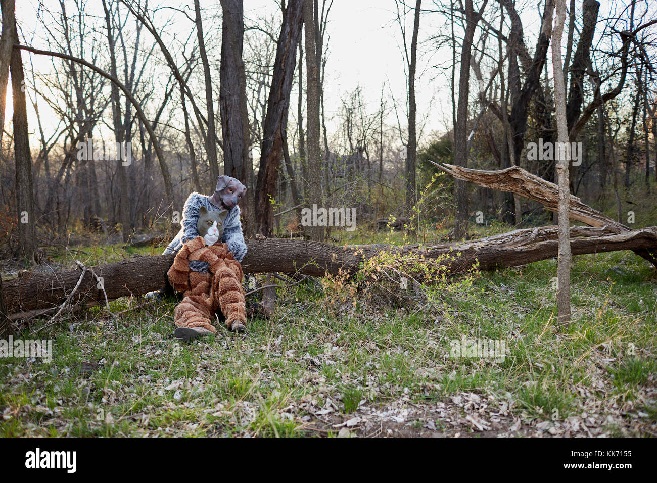 Homme Portant Un Costume De Chat Assis Avec Femme Deguisee En Chien Par Tronc De L Arbre Dans La Foret Photo Stock Alamy