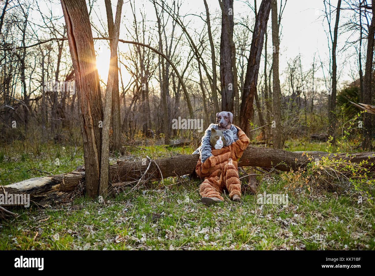 Homme Portant Un Costume De Chat Peluche Assis Avec Femme Deguisee En Chien Par Tree In Forest Photo Stock Alamy