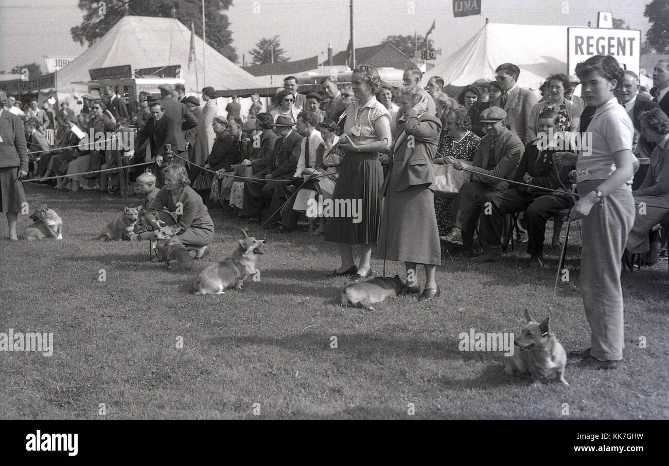 Années 1950, historique, photo montre corgi les chiens et leurs propriétaires prenant part à un concours de chien dans un champ à un comté rural show, avec les spectateurs assis derrière une corde à la recherche sur, England, UK. Welsh Corgi les chiens sont une race de chien et de l'élevage considéré comme excellent chiens de travail. Banque D'Images