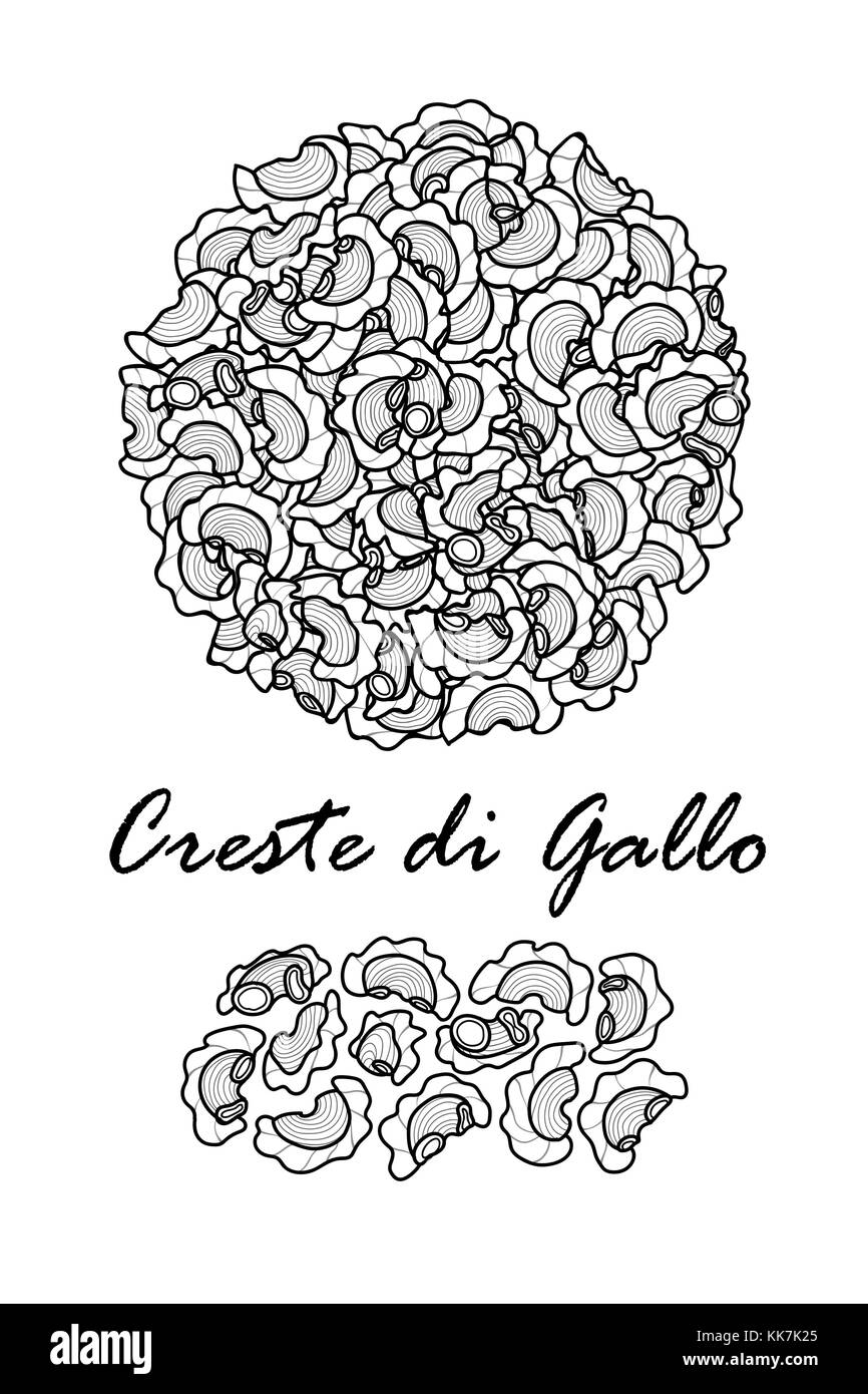 La conception de l'affiche pour les pâtes italiennes traditionnelles, Creste di Gallo à contour noir et blanc sur fond blanc. plan dessiné à la main mignon vecteur alimentaire illustr Illustration de Vecteur