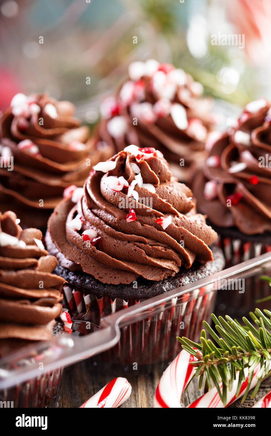 Cupcakes au chocolat et à la menthe par Candy Cane Banque D'Images