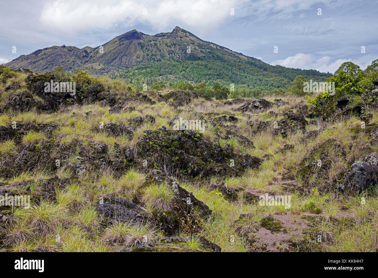 Champ de lave et la caldeira du mont Batur / gunung batur, volcan actif dans le bangli regency, Bali, Indonésie Banque D'Images