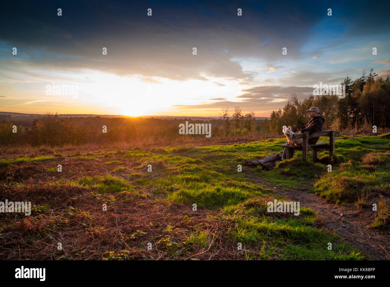 Tunbridge Wells kent forêt hargate ; l'homme avec bouchon sur assis sur un banc avec westie chien à la recherche de l'autre côté de la bruyère et fougère valley regardant le coucher du soleil Banque D'Images