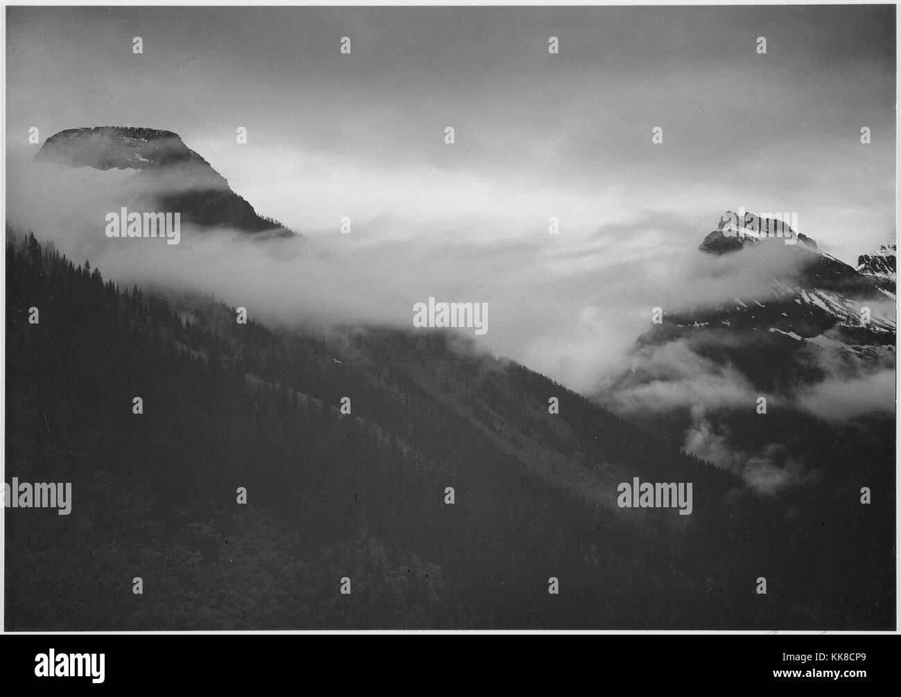 Une photographie en noir et blanc sur les sommets des montagnes d'être partiellement masquée par les nuages, dans le parc national des Glaciers, les montagnes sont couvertes par une forêt dense et la neige, l'image provient d'une série de photographies connu comme le projet mural par Ansel Adams, il a été commandé par le National Park Service en 1941 pour créer une fresque photographique pour le ministère de l'intérieur des capacités à Washington DC, le projet a pris fin en raison de la Seconde Guerre mondiale, le parc national des Glaciers a été créé en 1910, le parc se compose de plus d'un million d'acres de terre et est connu pour la diversité de terrain et l'éco Banque D'Images