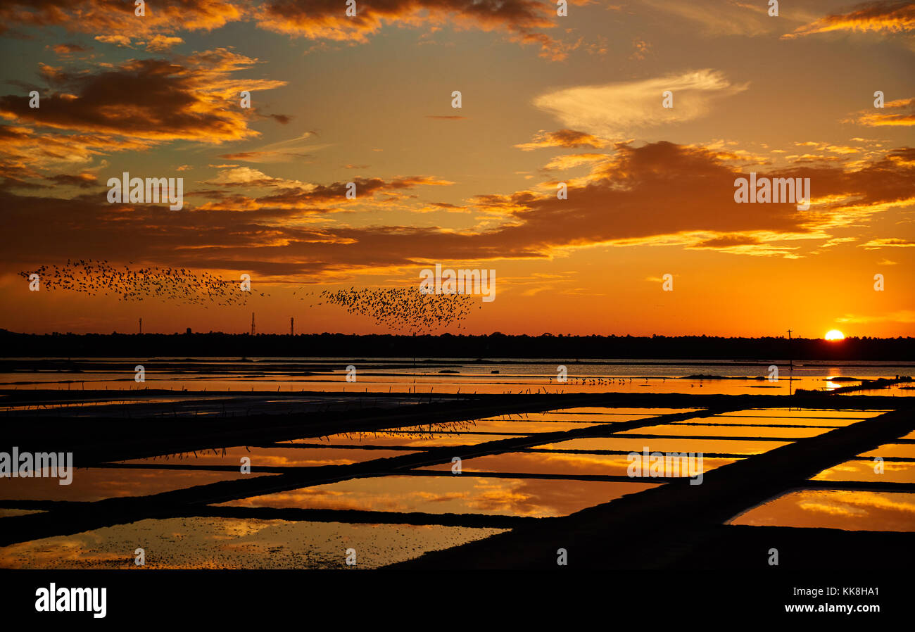 La couleur d'or sunset sky soirée au fond du carter de sel Banque D'Images